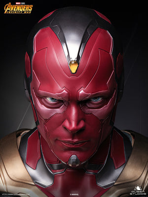 Vision Life Size Bust