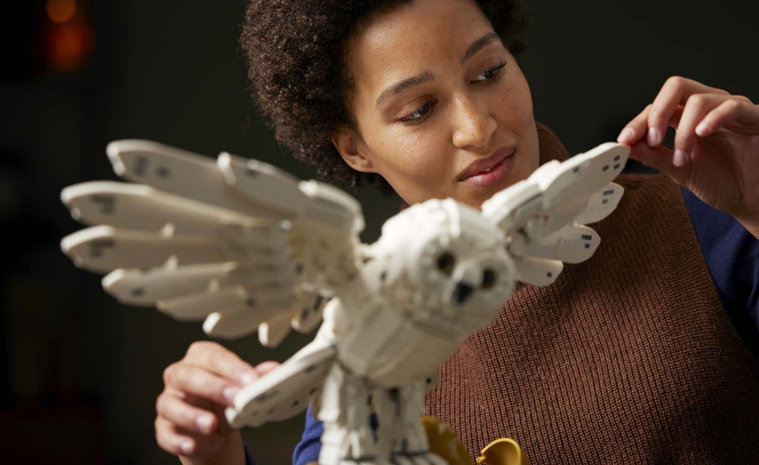 LEGO Harry Potter Hogwarts Icons - Collector's Edition