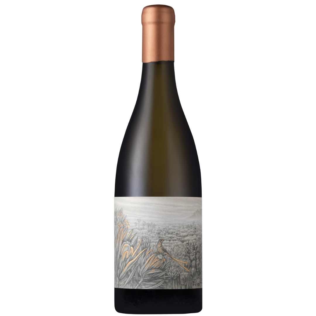 Nitida Coronata 2024