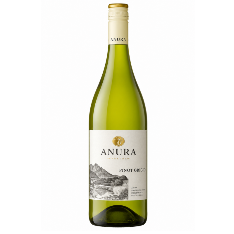 Anura Grigio